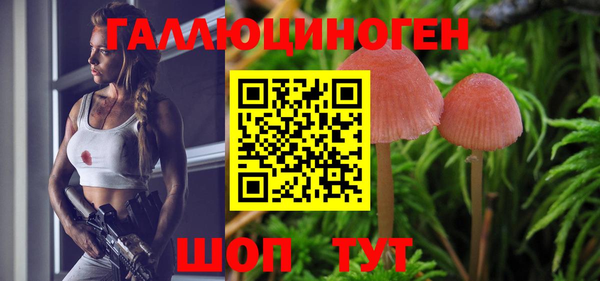 Новоалтайск  Псилоцибиновые грибы Magic Shrooms  Галлюциногенные грибы Magic Shrooms  Вход с VPN 